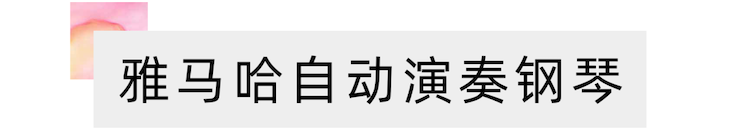 活动报道 | 远程艺术教育大师课活动—人生就是搏艺术家赵宇大师课
